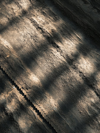 Natural light shines through the tree branches, casting intricate shadows on a rugged path, highlighting the texture of the earth.の素材