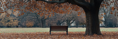 A peaceful bench rests beneath a tree, marked by fallen leaves, in a serene park bathed in gentle autumn light, inviting calm reflection.の素材