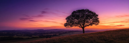 Warm golden hues blend into deep purple twilight, showcasing a lone tree standing tall in a serene rural landscape under a breathtaking sunset.の素材