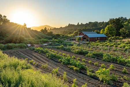 Fresh organic produce is meticulously prepared for delivery amidst a vibrant farm landscape, bathed in warm sunlight and surrounded by natures beauty.の素材