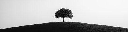 A solitary tree stands proudly atop a rolling hill, forming a striking silhouette in black and white against a bright, expansive sky, embodying serenity.の素材