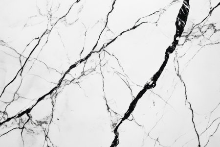 This stunning black and white marble showcases intricate natural veins, perfect for upscale architecture and interior design applications.の素材