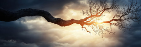 A striking tree branch mimicking a lightning bolt extends into a colorful sky filled with dramatic clouds as the sun sets on a quiet evening outside.の素材