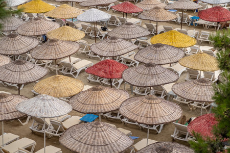 Numerous thatched umbrellas provide shade over beach loungers at Islands, inviting relaxation under the sun's warmth on a bustling summer day.の写真素材