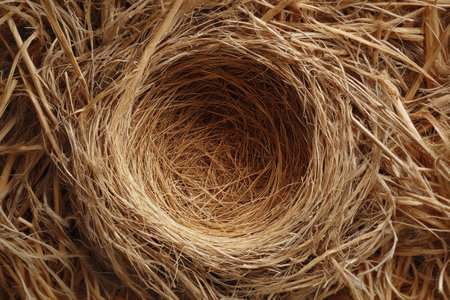 Top-down view of a circular nest made from straw, featuring a centered space ideal for logo placement, emphasizing natural materials.の素材