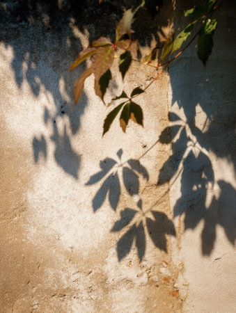 Leaves cast soft shadows on a weathered wall, swaying in the warm breeze, creating a tranquil atmosphere of natures artistry.の素材