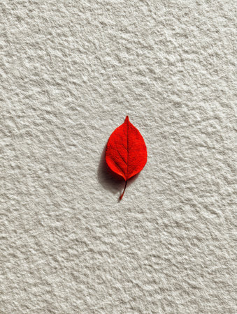 A vibrant red leaf rests on a soft white paper background, creating a striking visual contrast that emphasizes simplicity and natural beauty.の素材
