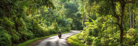A motorcycle travels on a winding road surrounded by vibrant greenery of a tropical jungle under bright daylight, creating an adventurous atmosphere.の素材