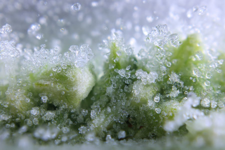 Close-up of frost crystals forming on a pack of frozen vegetables highlights the unique texture and frozen state of the food in a cold storage environment.の素材