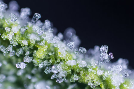 This macro shot showcases intricate frost particles on a frozen vegetable pack, revealing the delicate textures and shapes formed by ice crystals.の素材