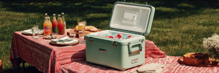 Cooler filled with ice and frozen treats sits atop a picnic table covered with a checkered cloth, with beverages and cake nearby in a sunny outdoor park.の素材
