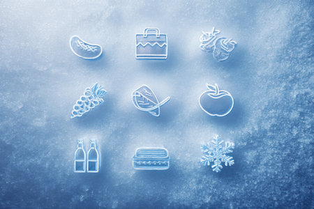 Frozen food brand icons showcased neatly over a frosty gradient, emphasizing freshness with a clean and modern design suitable for promotional use.の素材