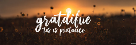 Golden sunlight warms a tranquil field at sunrise, highlighting that gratitude is a practice for mindfulness and inspiration.の素材