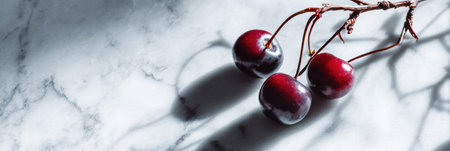 Cherry stems cast intricate shadows on a polished marble surface, showcasing a minimal color palette, while the upper third remains empty for balance and calm.の素材