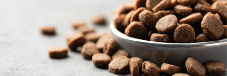 A closeup view of kibble labeled grain-free in a bowl, resting on a neutral surface, highlighting healthy pet food choices for various diets.の素材