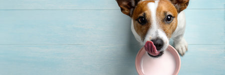A playful dog is licking yogurt from a bowl placed on a pastel-colored floor while enjoying a delightful snack in a sunny kitchen area.の素材