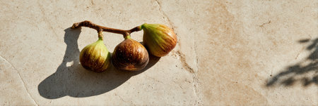 Fresh figs rest on a smooth stone slab, their vibrant colors contrasting with shadows, highlighting the natural beauty on a sunny afternoon.の素材