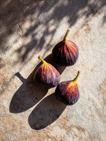 Ripe figs rest on a textured stone surface, casting intricate shadows while maintaining an untouched area above, highlighting the natural beauty of the fruit.の素材