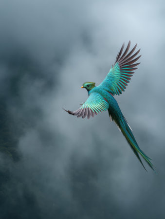 A resplendent quetzal glides gracefully through a misty cloud forest, showcasing vibrant feathers against a moody sky filled with clouds.の素材
