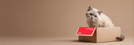 Curious cat investigates a branded food box with an open top banner in a minimalist setting, showcasing a playful moment in pet food delivery.の素材