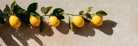 Vibrant lemons lined up on a soft concrete surface create interesting shadows, illustrating the contrast between the bright fruit and the muted background.の素材