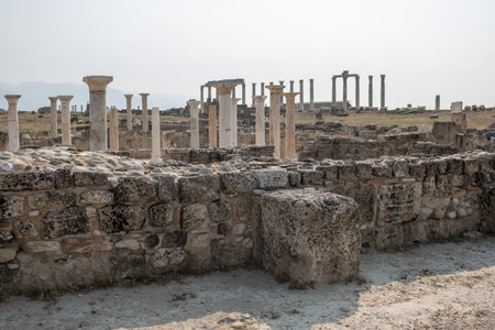 Wander through the ancient ruins of Laodikeia, where stone walls and magnificent columns reflect a...