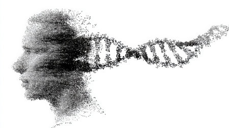 A brain silhouette formed by a DNA spiral connects themes of evolution and cognitive development with an open right edge symbolizing potential and creativity.の素材