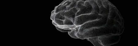 A rotating wireframe brain hovers over a dark surface, showing intricate neural patterns and connectivity in a modern and artistic representation.の素材