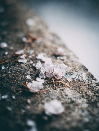 Delicate frost crystals form on a textured stone surface, surrounded by small pine needles, capturing the serene beauty of a cold winter morning.の素材