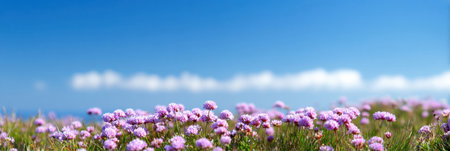 Bright purple wildflowers create a stunning foreground against a clear blue sky filled with fluffy white clouds on a sunny spring day.の素材