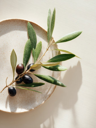A green olive branch rests on a textured plate, displaying fresh, ripe black and green olives under soft lighting that highlights their natural beauty.の素材