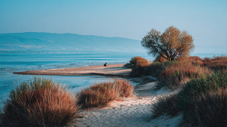 A figure relaxes on a sandy shore near calm water while lush greenery and a tree create a tranquil atmosphere at dusk in a picturesque location.の素材