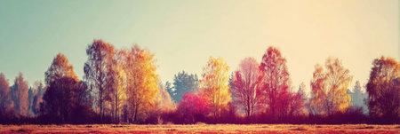 Vibrant fall foliage displays a range of colors as trees stand in a peaceful landscape during sunset, enhancing the serene atmosphere of nature.の素材