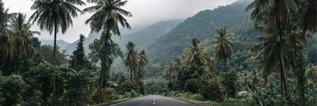 A peaceful road winds through tall palm trees and dense greenery, framed by majestic mountains under a cloudy sky in a tropical destination.の素材