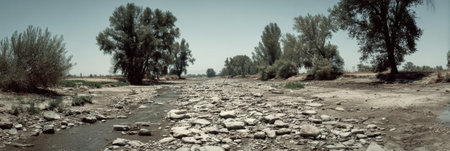 A dry riverbed stretches across a rural landscape under a clear sky, surrounded by tall trees and sparse vegetation, highlighting the effects of drought.の素材