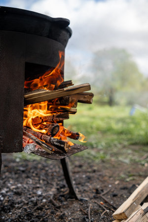 Flames dance around logs placed carefully in a fire pit, surrounded by green grass and trees in a bright outdoor area during the day.の写真素材