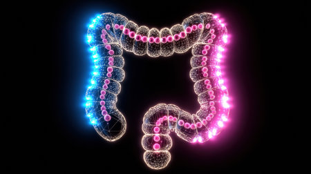 Colorful particles vividly illustrate the human intestine, highlighting digestive health and anatomy in a creative way.の素材