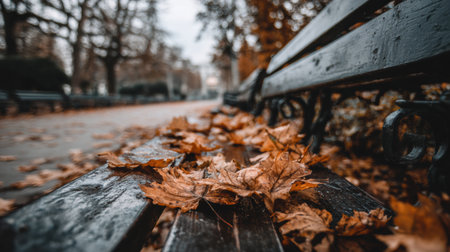 Brown and orange leaves blanket a weathered park bench on a cool afternoon in an urban park, evoking the peacefulness of autumn.の素材