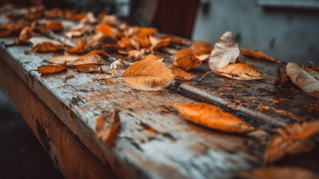 Warm autumn leaves cover a weathered wooden table in an outdoor area, illuminated by the soft glow of the setting sun, creating a tranquil atmosphere.の素材