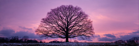 A large, leafless tree stands prominently against a striking pink and purple sunset sky, surrounded by fields and distant trees, creating a peaceful atmosphere.の素材