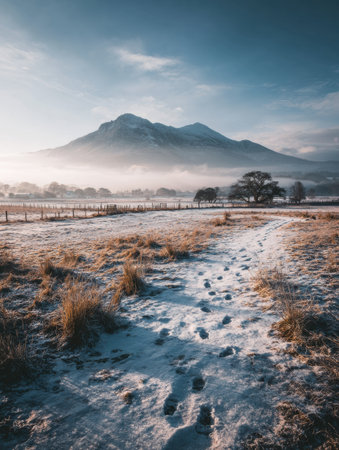 A tranquil scene depicts a snowy path winding through a field with scattered grass, leading toward a majestic mountain under a clear sky at dawn.の素材