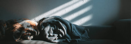 Two warm blankets lay neatly on a sofa, illuminated by gentle rays of sunlight peeking through the window, creating a serene setting.の素材