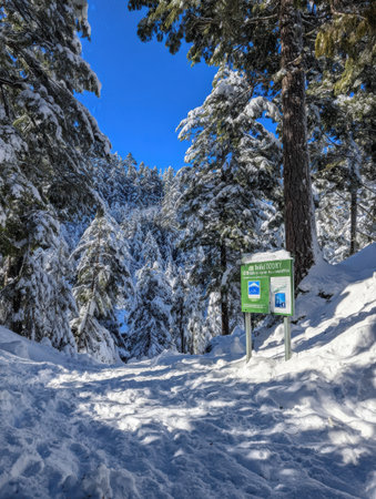 A snowy pathway leads into a tranquil winter forest under a bright blue sky. A sign nearby points to activities in the picturesque mountains.の素材