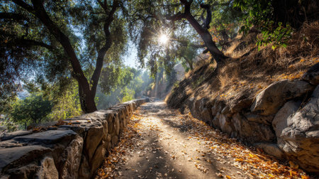 Dappled sunlight filters through trees along a serene path covered with autumn leaves, creating a peaceful atmosphere in a natural landscape.の素材