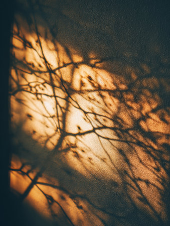 Soft sunlight creates delicate shadows resembling a nervous system on a textured wall, enhancing the tranquil atmosphere in the room.の素材