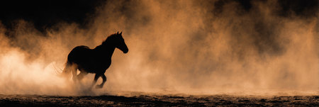 A dark horse runs powerfully across a dusty field. The sunset or golden hour light creates a dramatic atmosphere. The horse is moving quickly in open space.の素材