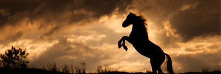 A dark silhouette of a wild stallion stands rearing on its hind legs at dusk. Dramatic golden sunlight filters through a cloudy sky behind the strong animal.の素材