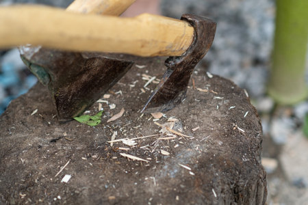 An ax with a wooden handle is positioned on a rugged wooden stump. Shavings and small wood pieces...