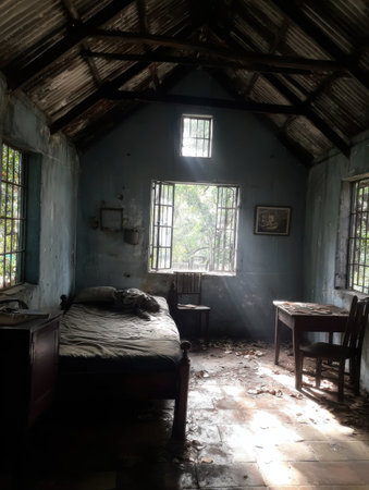 This space features a weathered bed, a table, and chairs, all covered with dust and leaves, creating an atmosphere of abandonment in a serene setting.の素材