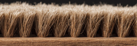 Close-up of a bristle brush highlighting its fine, arranged bristles and wooden base, showing the craftsmanship ideal for cleaning or artistic use.の素材